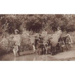 Rare collectable postcards of ROMANIA. Vintage Postcards of ROMANIA