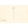 Rare collectable postcards of LEBANON. Vintage Postcards of LEBANON