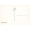 Rare collectable postcards of LEBANON. Vintage Postcards of LEBANON