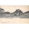 Rare collectable postcards of LEBANON. Vintage Postcards of LEBANON