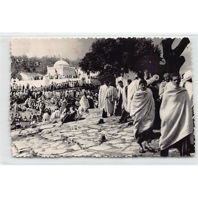 Rare collectable postcards of ALGERIA Algérie. Vintage Postcards of ALGERIA Algérie