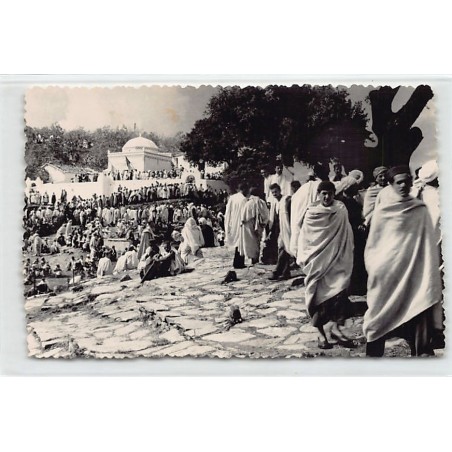 Rare collectable postcards of ALGERIA Algérie. Vintage Postcards of ALGERIA Algérie