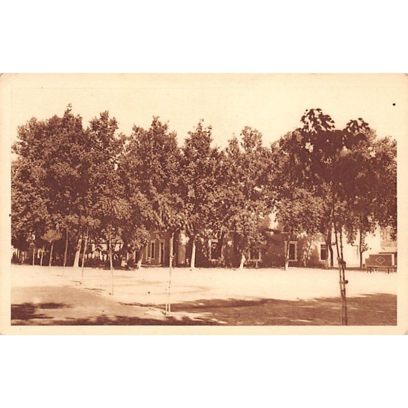 Rare collectable postcards of ALGERIA Algérie. Vintage Postcards of ALGERIA Algérie