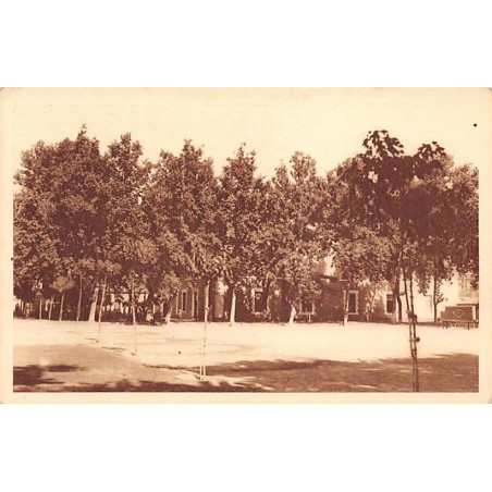 Rare collectable postcards of ALGERIA Algérie. Vintage Postcards of ALGERIA Algérie