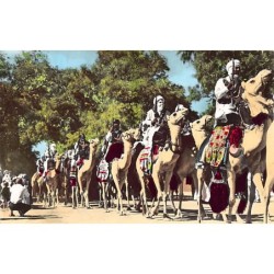 Rare collectable postcards of ALGERIA Algérie. Vintage Postcards of ALGERIA Algérie
