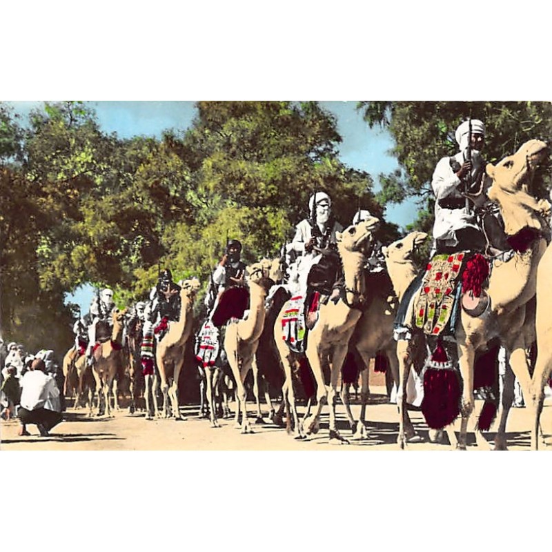Rare collectable postcards of ALGERIA Algérie. Vintage Postcards of ALGERIA Algérie