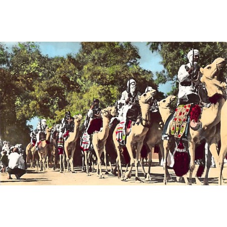 Rare collectable postcards of ALGERIA Algérie. Vintage Postcards of ALGERIA Algérie