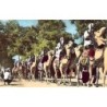 Rare collectable postcards of ALGERIA Algérie. Vintage Postcards of ALGERIA Algérie