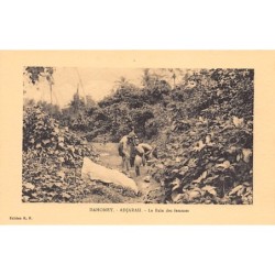 Rare collectable postcards of BÉNIN Dahomey. Vintage Postcards of BÉNIN Dahomey