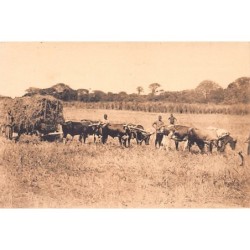 Rare collectable postcards of CONGO KINSHASA. Vintage Postcards of CONGO KINSHASA