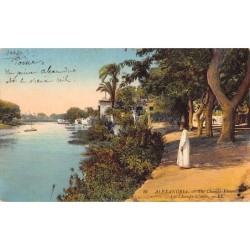 Rare collectable postcards of EGYPT. Vintage Postcards of EGYPT