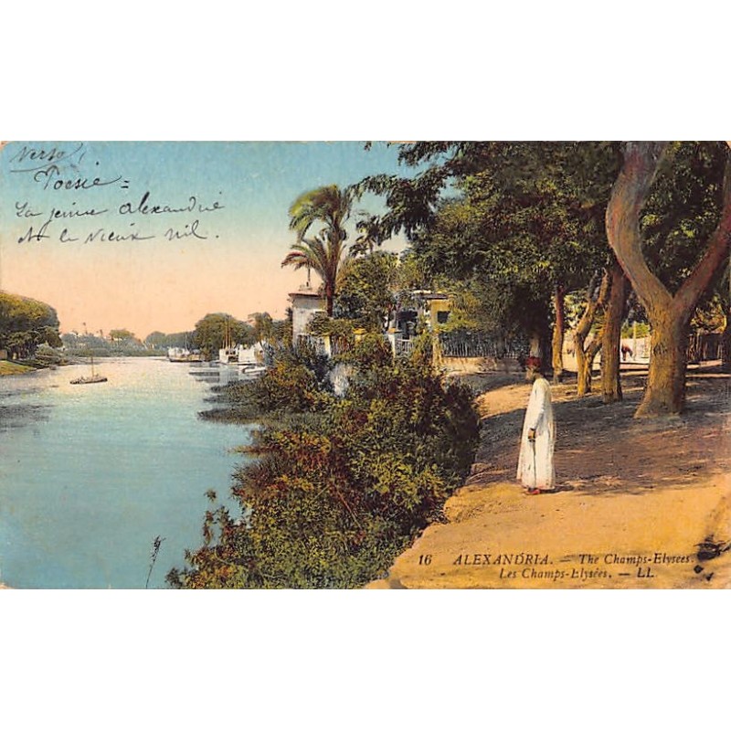 Rare collectable postcards of EGYPT. Vintage Postcards of EGYPT