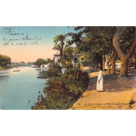 Rare collectable postcards of EGYPT. Vintage Postcards of EGYPT