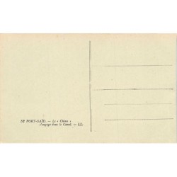 Rare collectable postcards of EGYPT. Vintage Postcards of EGYPT