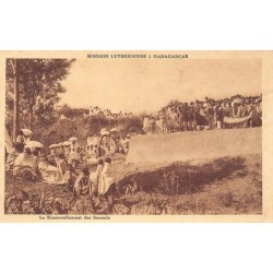 Rare collectable postcards of MADAGASCAR. Vintage Postcards of MADAGASCAR