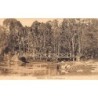 Rare collectable postcards of MADAGASCAR. Vintage Postcards of MADAGASCAR