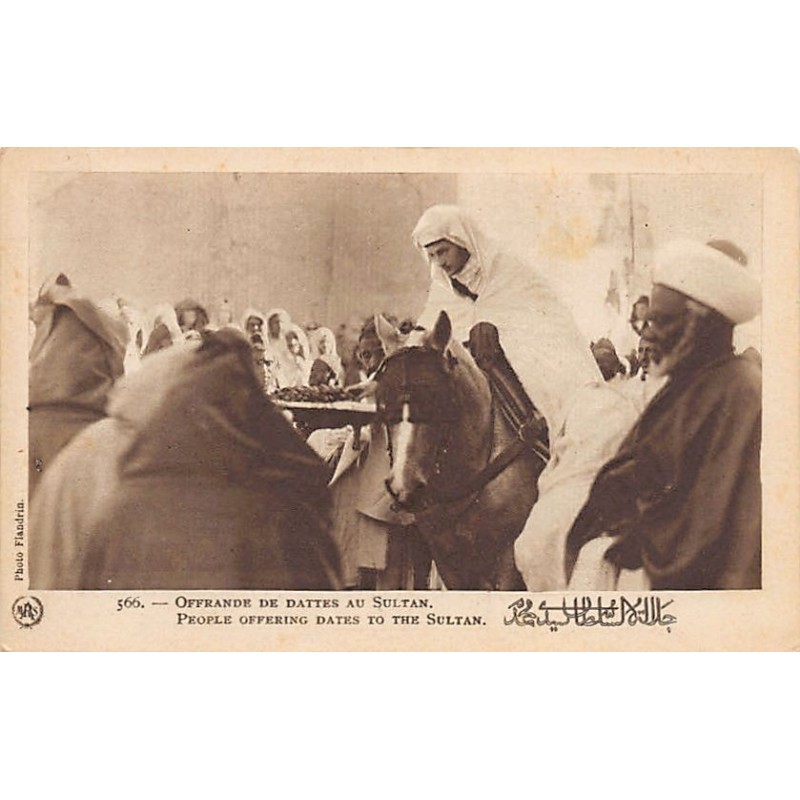 Rare collectable postcards of MAROC. Vintage Postcards of MAROC