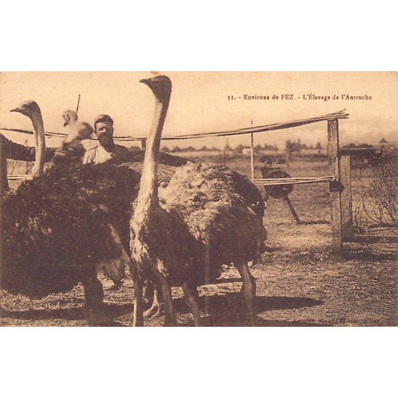 Rare collectable postcards of MAROC. Vintage Postcards of MAROC