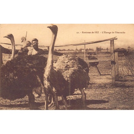Rare collectable postcards of MAROC. Vintage Postcards of MAROC