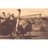 Rare collectable postcards of MAROC. Vintage Postcards of MAROC