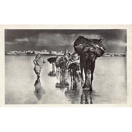 Rare collectable postcards of MAROC. Vintage Postcards of MAROC