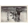 Rare collectable postcards of MAROC. Vintage Postcards of MAROC