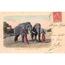 Malaysia - Federated Malay States - Elephants - Publ. G. R. Lambert & Co.