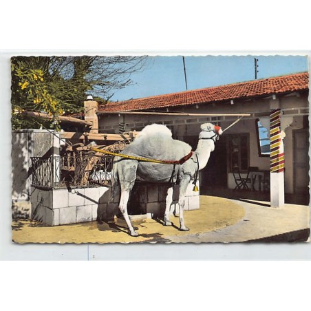 Rare collectable postcards of TUNISIA Tunisie. Vintage Postcards of TUNISIA Tunisie