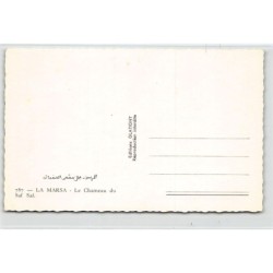 Rare collectable postcards of TUNISIA Tunisie. Vintage Postcards of TUNISIA Tunisie
