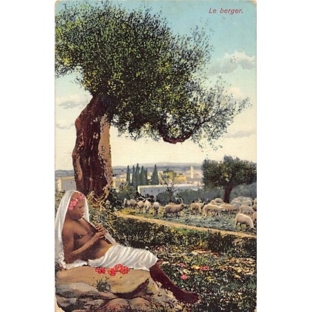 Rare collectable postcards of TUNISIA Tunisie. Vintage Postcards of TUNISIA Tunisie