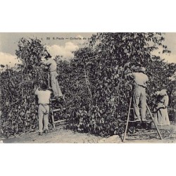 Rare collectable postcards of BRAZIL Brasil. Vintage Postcards of BRAZIL Brasil