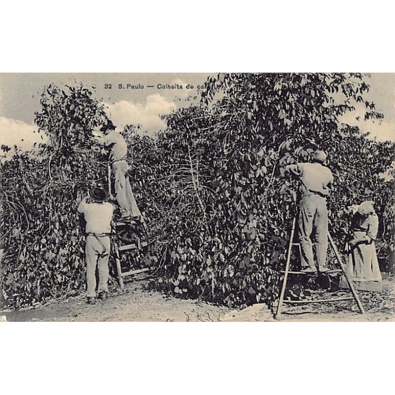 Rare collectable postcards of BRAZIL Brasil. Vintage Postcards of BRAZIL Brasil