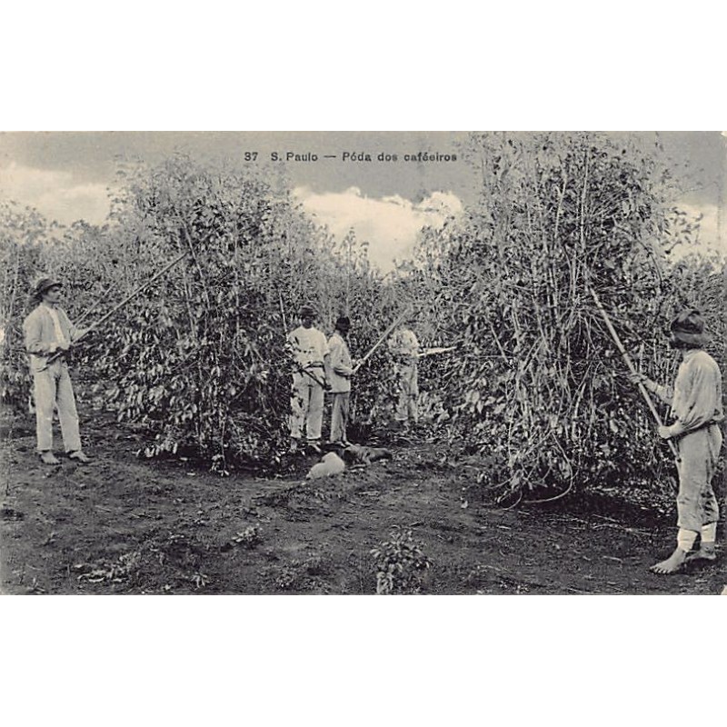 Rare collectable postcards of BRAZIL Brasil. Vintage Postcards of BRAZIL Brasil