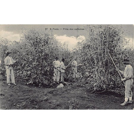 Rare collectable postcards of BRAZIL Brasil. Vintage Postcards of BRAZIL Brasil