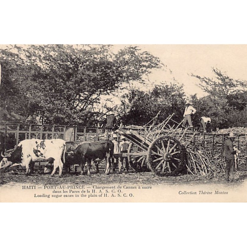 Rare collectable postcards of HAITI. Vintage Postcards of HAITI