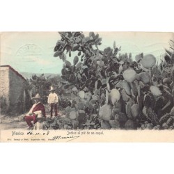Rare collectable postcards of MEXICO. Vintage Postcards of MEXICO