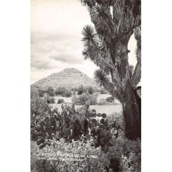 Rare collectable postcards of MEXICO. Vintage Postcards of MEXICO