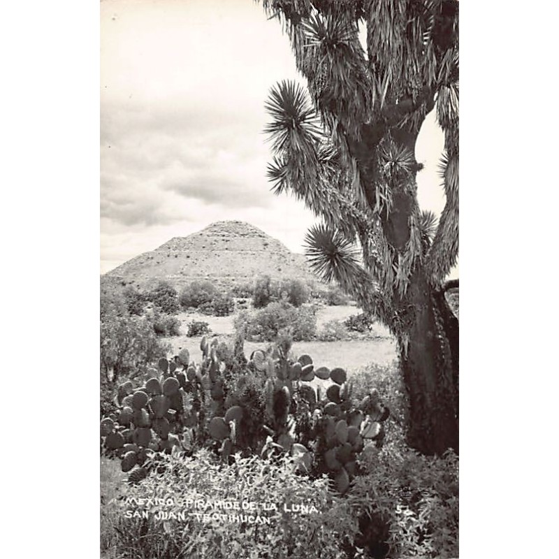 Rare collectable postcards of MEXICO. Vintage Postcards of MEXICO