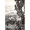 Rare collectable postcards of MEXICO. Vintage Postcards of MEXICO