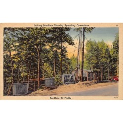 Rare collectable postcards of USA. Vintage Postcards of USA