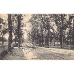 Rare collectable postcards of USA. Vintage Postcards of USA