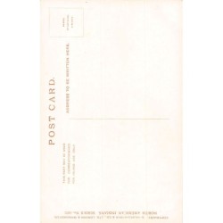 Rare collectable postcards of USA. Vintage Postcards of USA