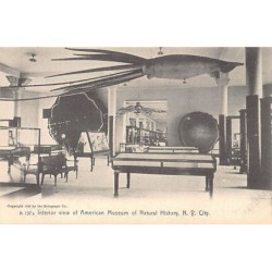 Rare collectable postcards of USA. Vintage Postcards of USA