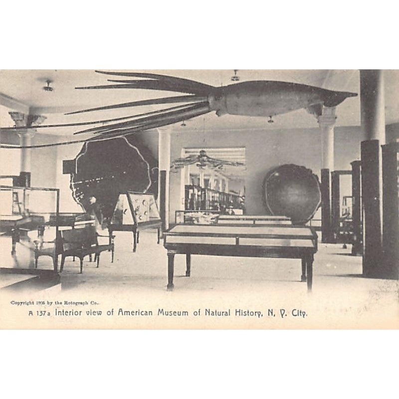 Rare collectable postcards of USA. Vintage Postcards of USA