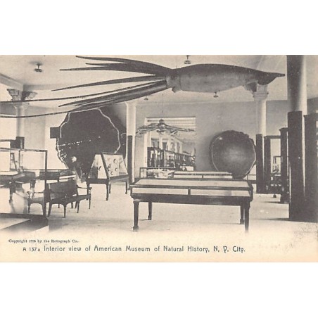 Rare collectable postcards of USA. Vintage Postcards of USA