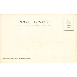 Rare collectable postcards of USA. Vintage Postcards of USA