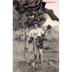 Rare collectable postcards of USA. Vintage Postcards of USA