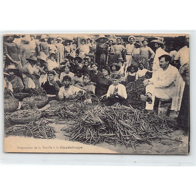 Rare collectable postcards of GUADELOUPE. Vintage Postcards of GUADELOUPE