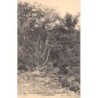 Rare collectable postcards of GUADELOUPE. Vintage Postcards of GUADELOUPE