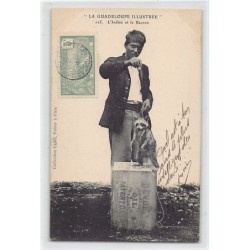 Rare collectable postcards of GUADELOUPE. Vintage Postcards of GUADELOUPE